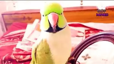 Cute Indian XXX girl have a hardcore sex with her daddy