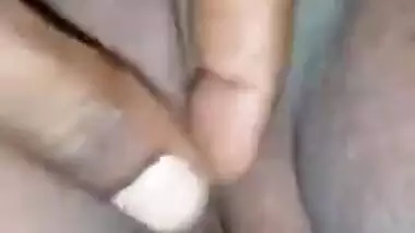 Sri Lankan whife pusy