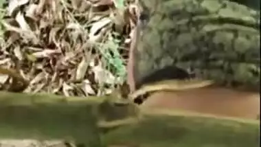 Desi Bhabhi with slutty-soul fucking outdoor by own nephew In doggy style